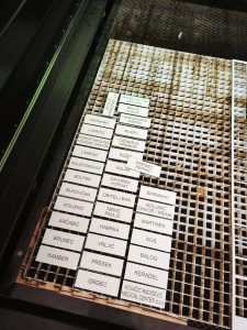 DasPrint3D-Laser5