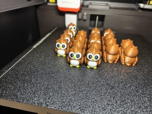 IMG_20250505_164642